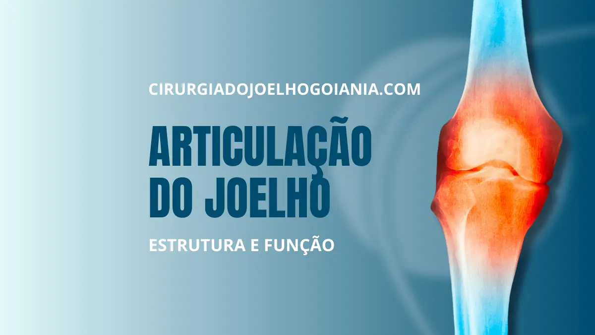 |Articulação do joelho