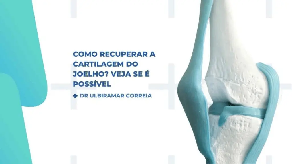 Como recuperar cartilagem joelho|