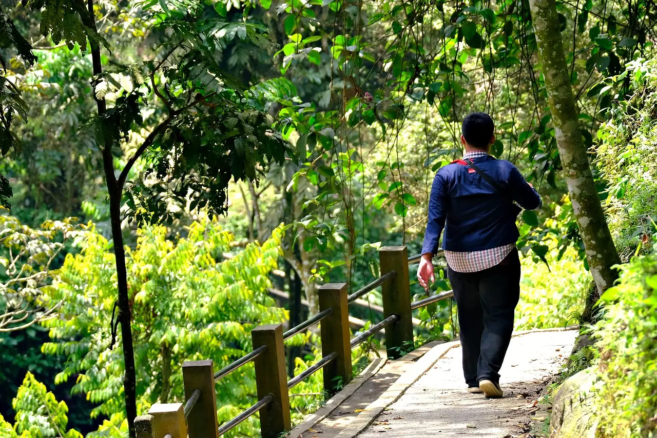 É Possível Andar Com o Ligamento do Joelho Rompido|||