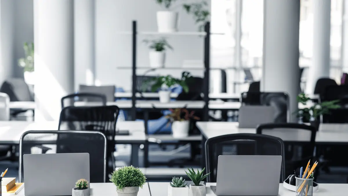 Tempo de afastamento após cirurgia de LCA