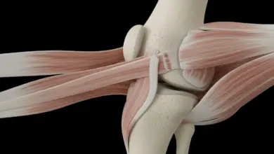 Ligamento femoropatelar medial