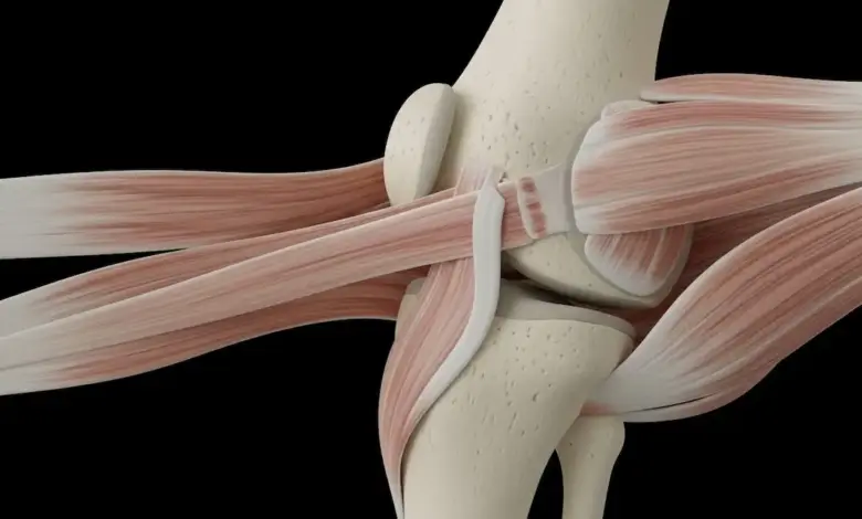 Ligamento femoropatelar medial